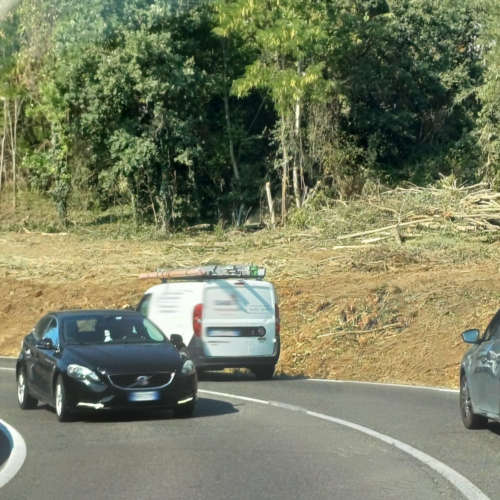 Pulizia lungo la “Colla” via rovi e fusti invasivi