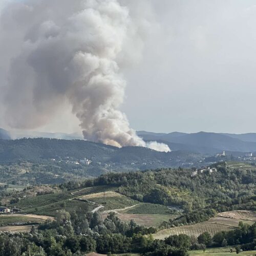Vasto incendio a Mornese: in fiamme la pineta
