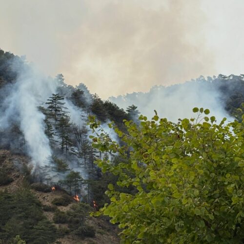 Incendio boschivo a Mornese: situazione in miglioramento e Arpa rassicura sulla qualità dell’aria