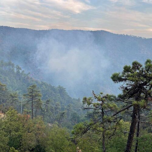 Mornese, ancora fiamme nei boschi: nuovo incendio poche ore dopo la fine dell’emergenza