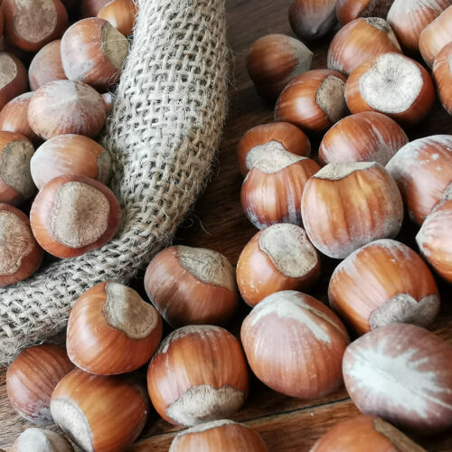 Fiera della nocciola a Cortemilia: il programma fino al 6 settembre