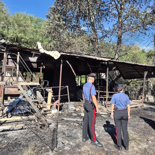 In fiamme un campo e un capanno ad Arquata. Vigili del Fuoco e Carabinieri mettono in sicurezza due bombole di gas