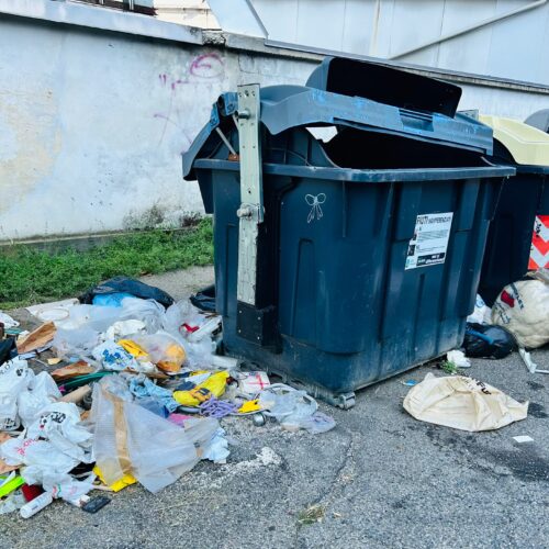 Fratelli d’Italia: “Grave disagio per i rifiuti, Amag Ambiente intervenga”