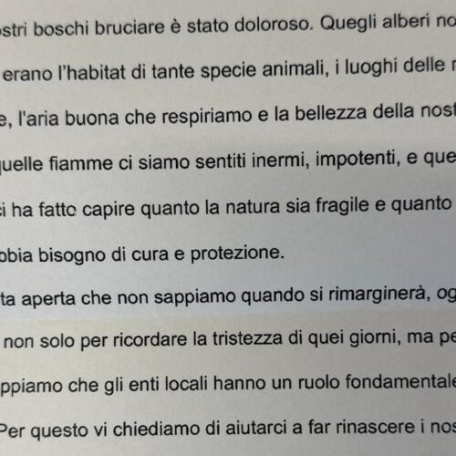 Gli studenti di Mornese dopo l’incendio: “Aiutateci a far rinascere i nostri boschi. Grazie di essere venuti qui”