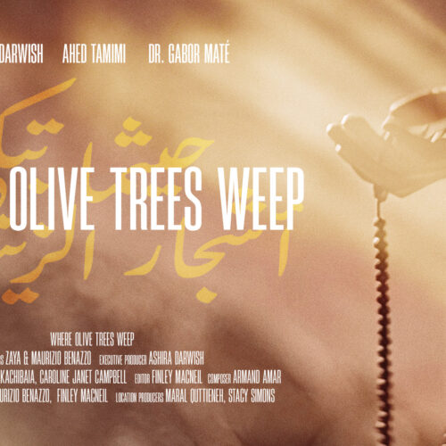 Questa sera, lunedì 5 ottobre, il documentario “Where Olive Trees Weep”